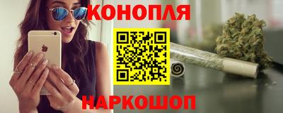 Альфа ПВП Сосновый Бор