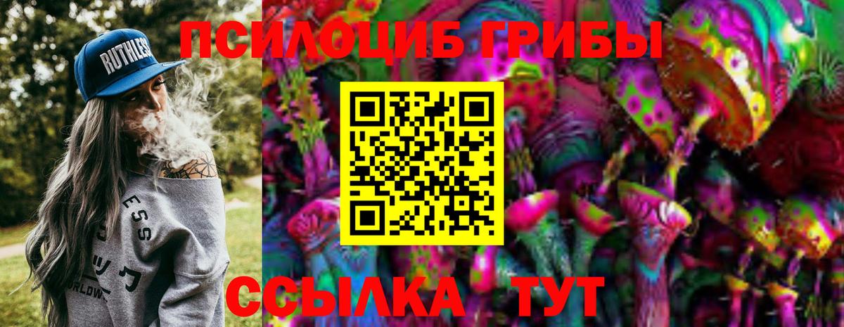 Городец  Псилоцибиновые грибы Cubensis  Вход с VPN 