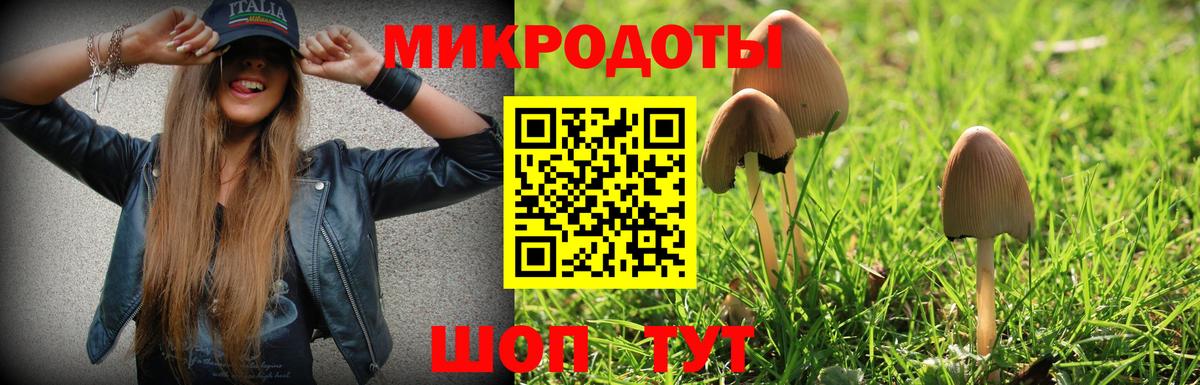 Псилоцибиновые грибы MAGIC MUSHROOMS Городец